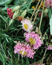 SMUDGE STICK - Organically Grown - Handmade - Art In Motion Jewelry & Metal Studio LLC
