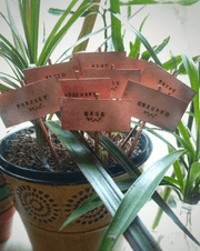 GARDEN TAGS - Rustic Copper - Home Decor - Art In Motion Jewelry & Metal Studio LLC